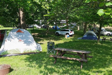ava camping
